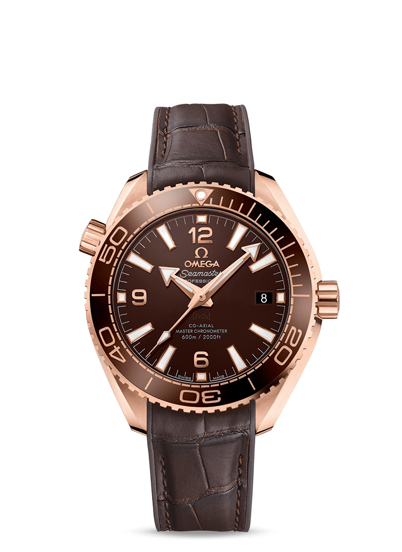 Omega Seamaster Planet Ocean
