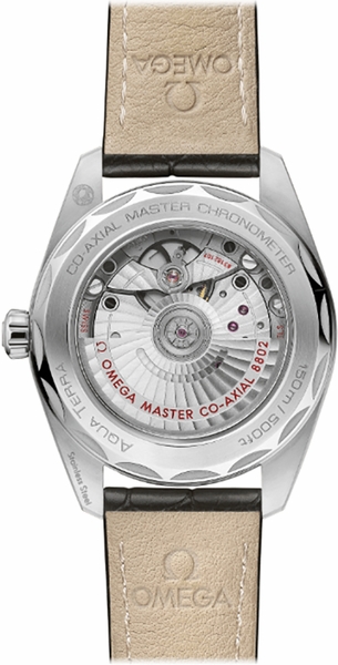 Omega Seamaster Aqua Terra