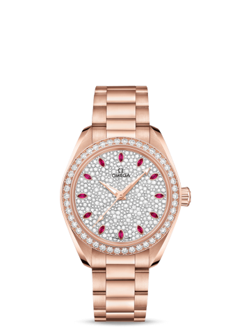 Omega Seamaster Aqua Terra