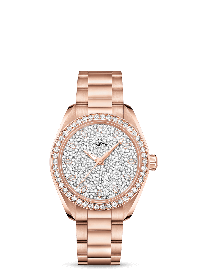 Omega Seamaster Aqua Terra