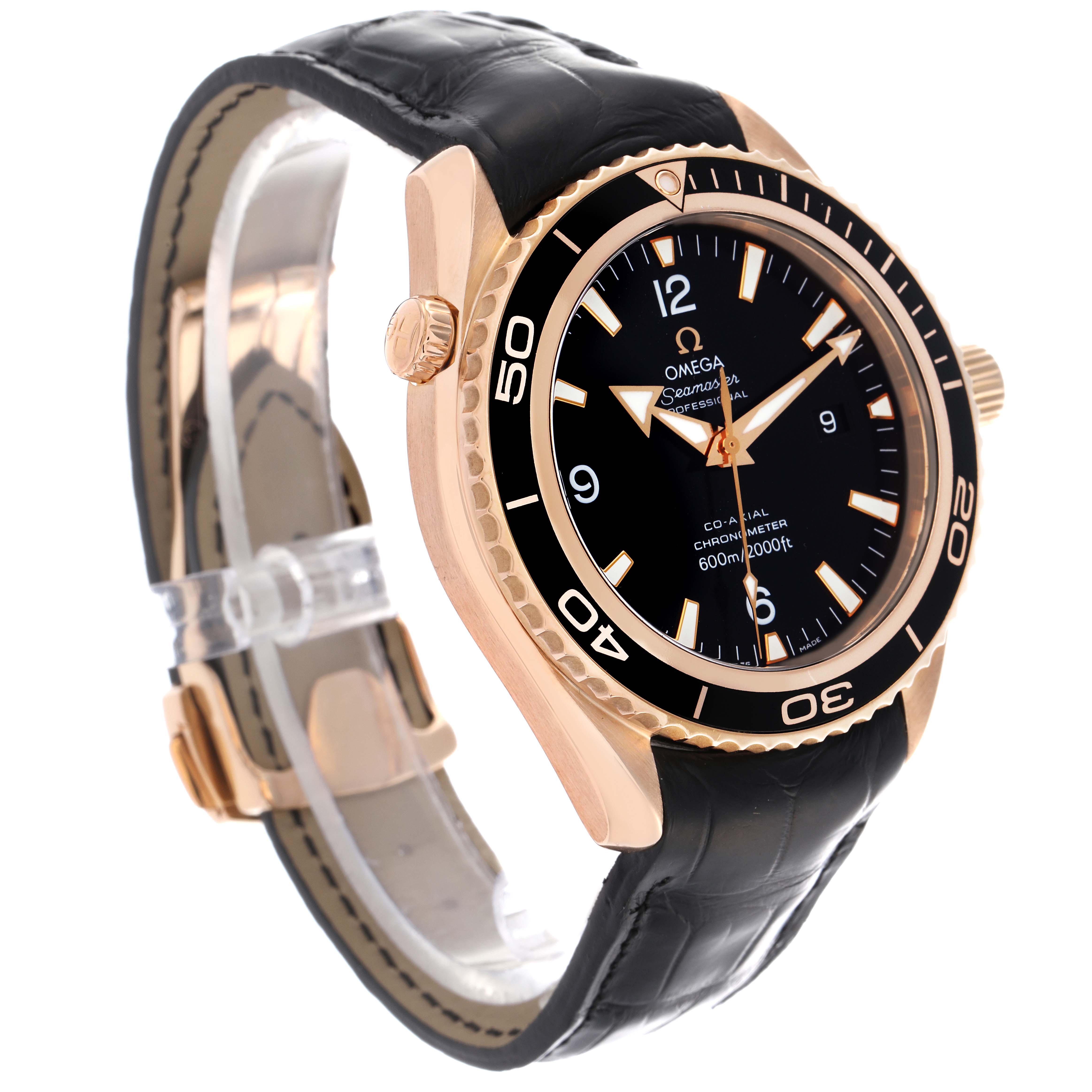 Omega Seamaster Planet Ocean