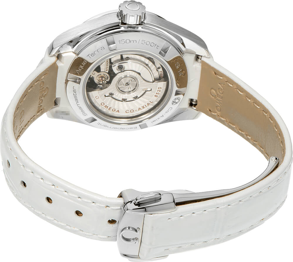 Omega Seamaster Aqua Terra