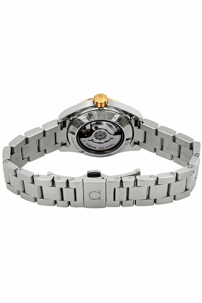 Omega Seamaster Aqua Terra