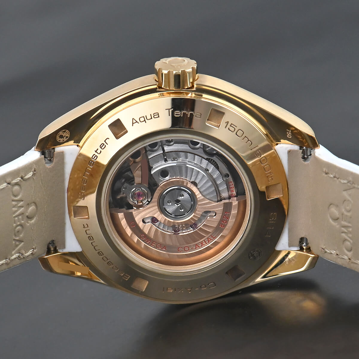 Omega Seamaster Aqua Terra