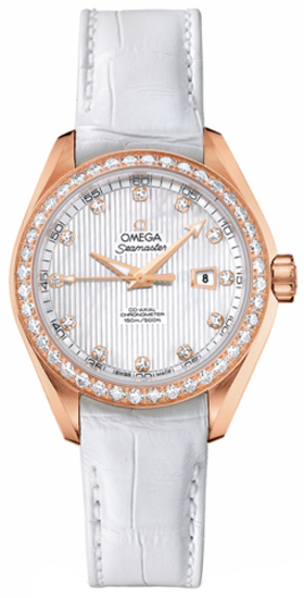 Omega Seamaster Aqua Terra