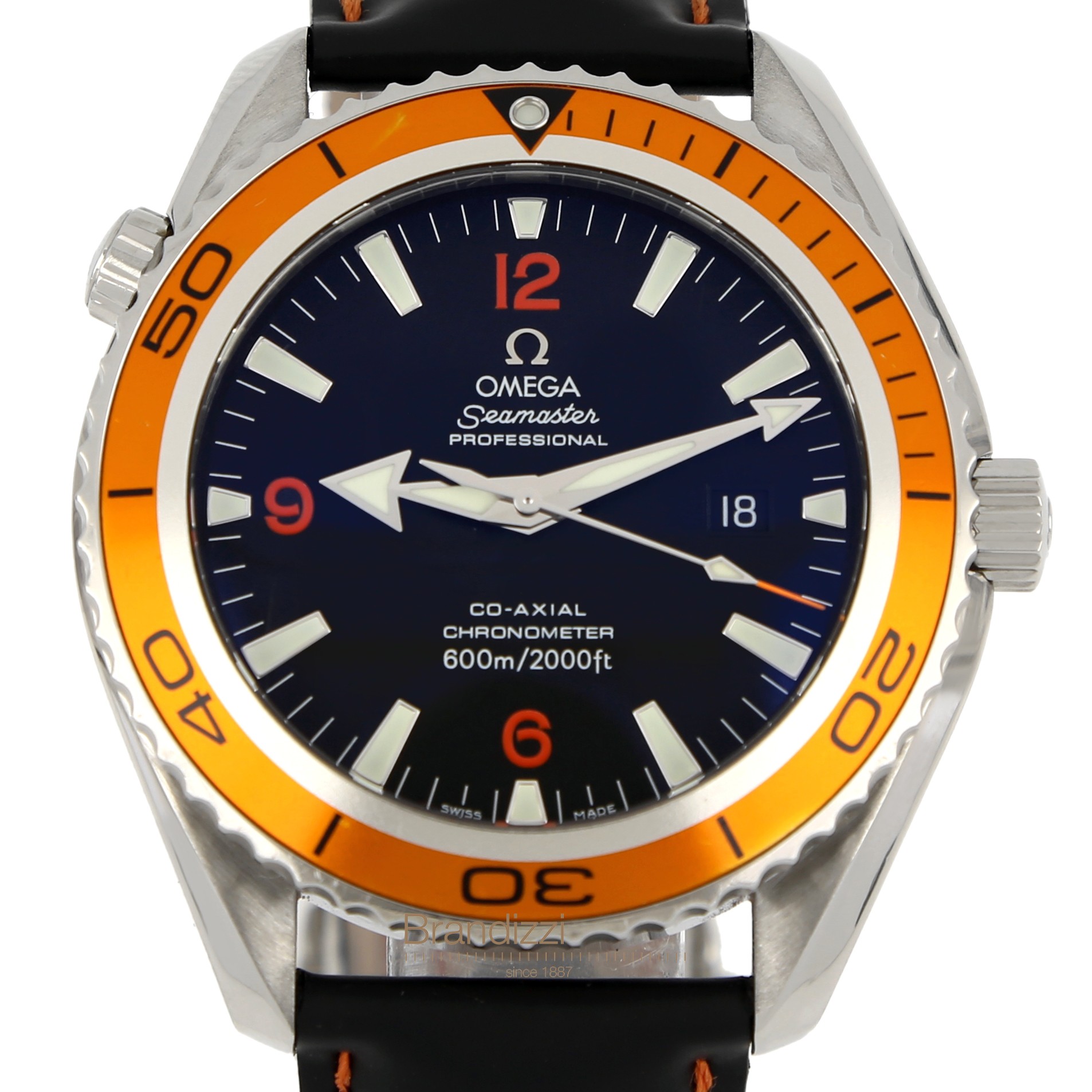 Omega Seamaster Planet Ocean
