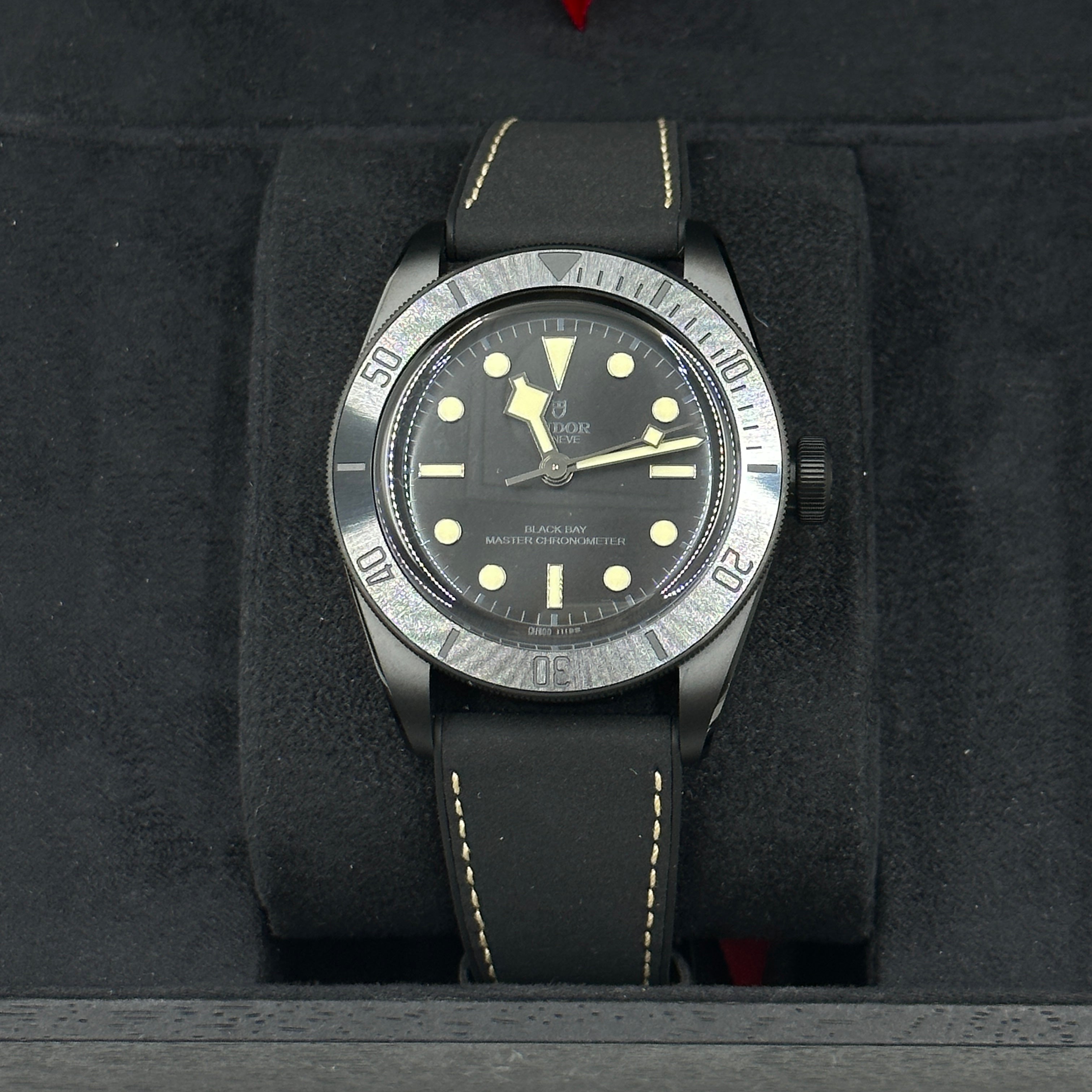 Tudor Black Bay