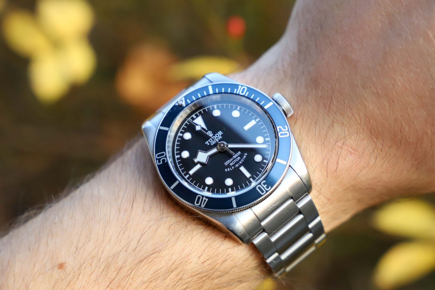 Tudor Black Bay