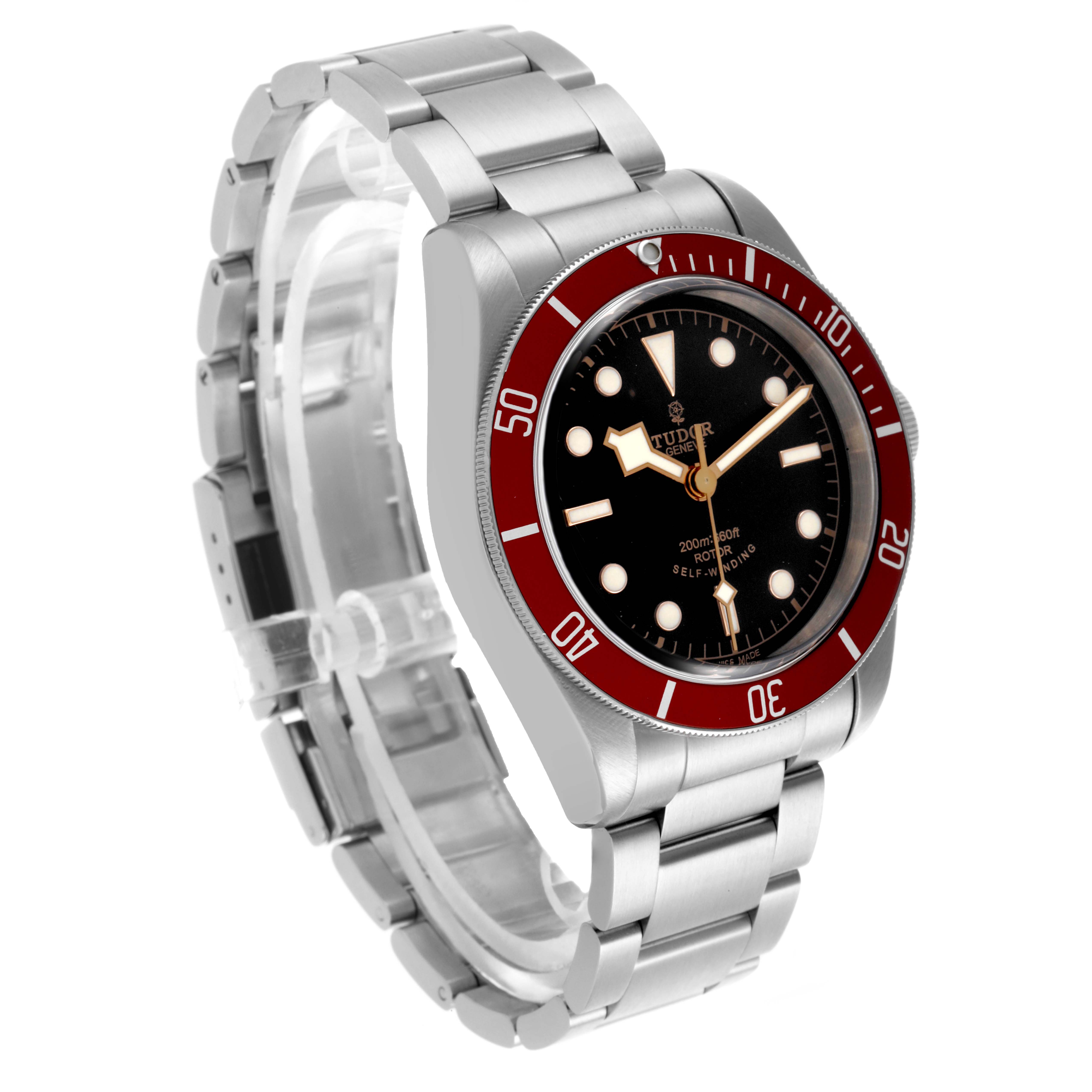 Tudor Black Bay