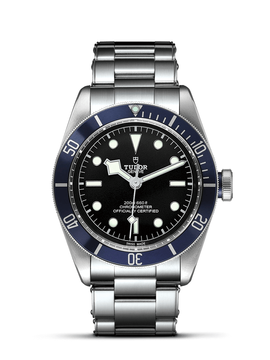 Tudor Black Bay