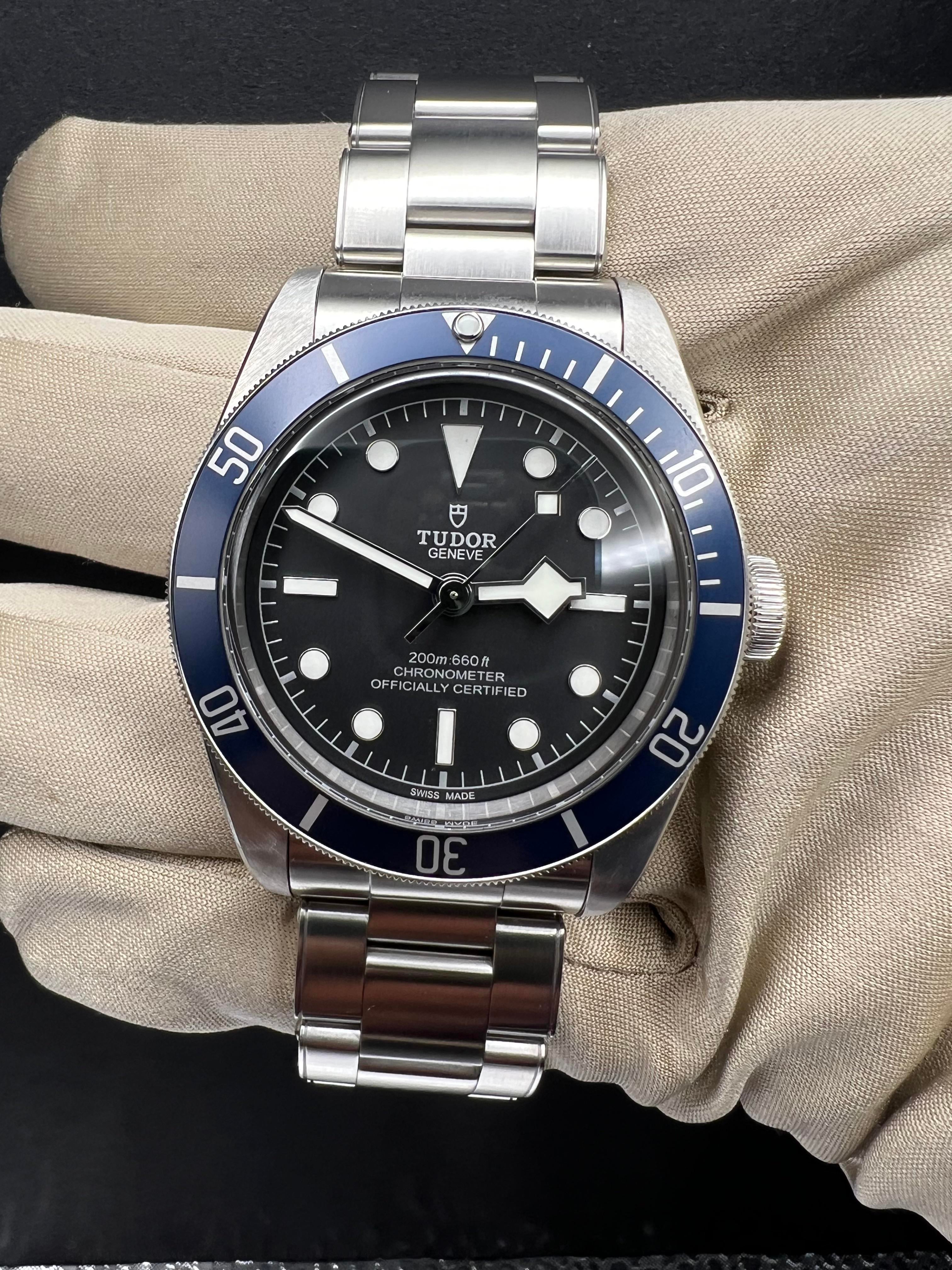 Tudor Black Bay