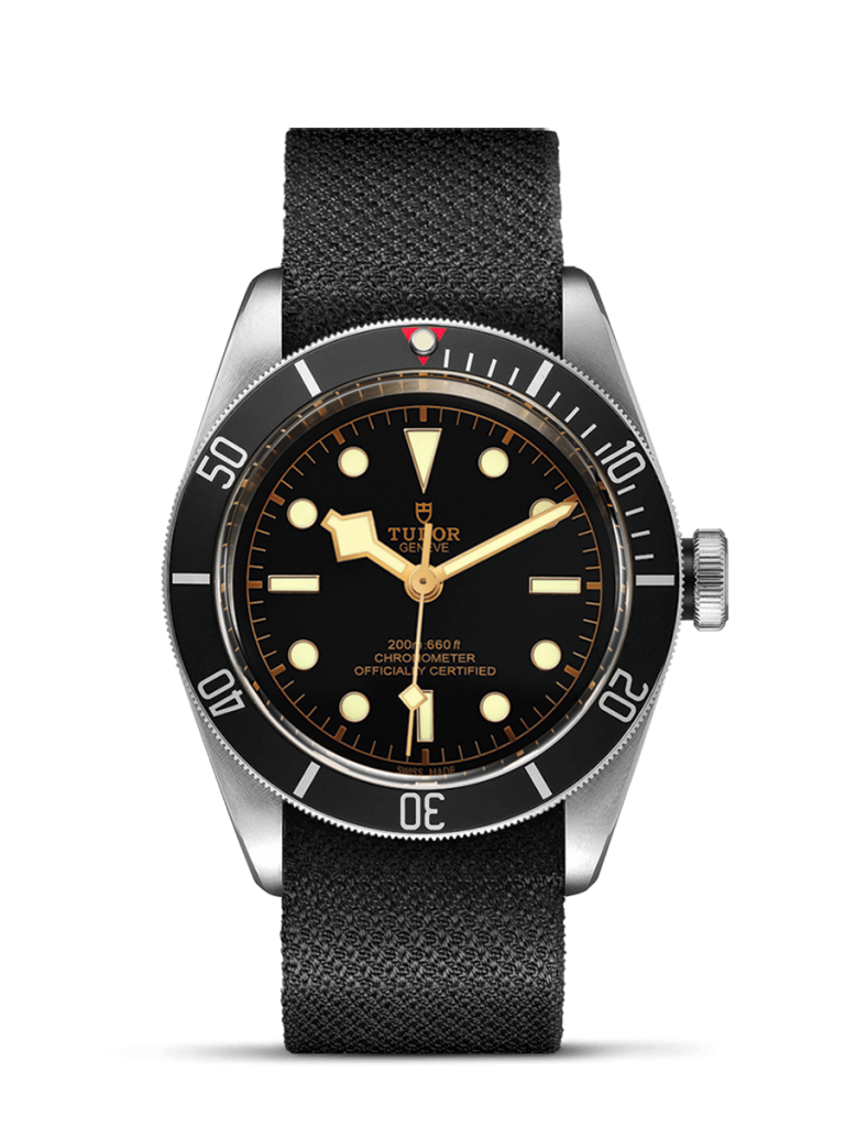 Tudor Black Bay