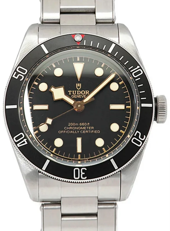 Tudor Black Bay