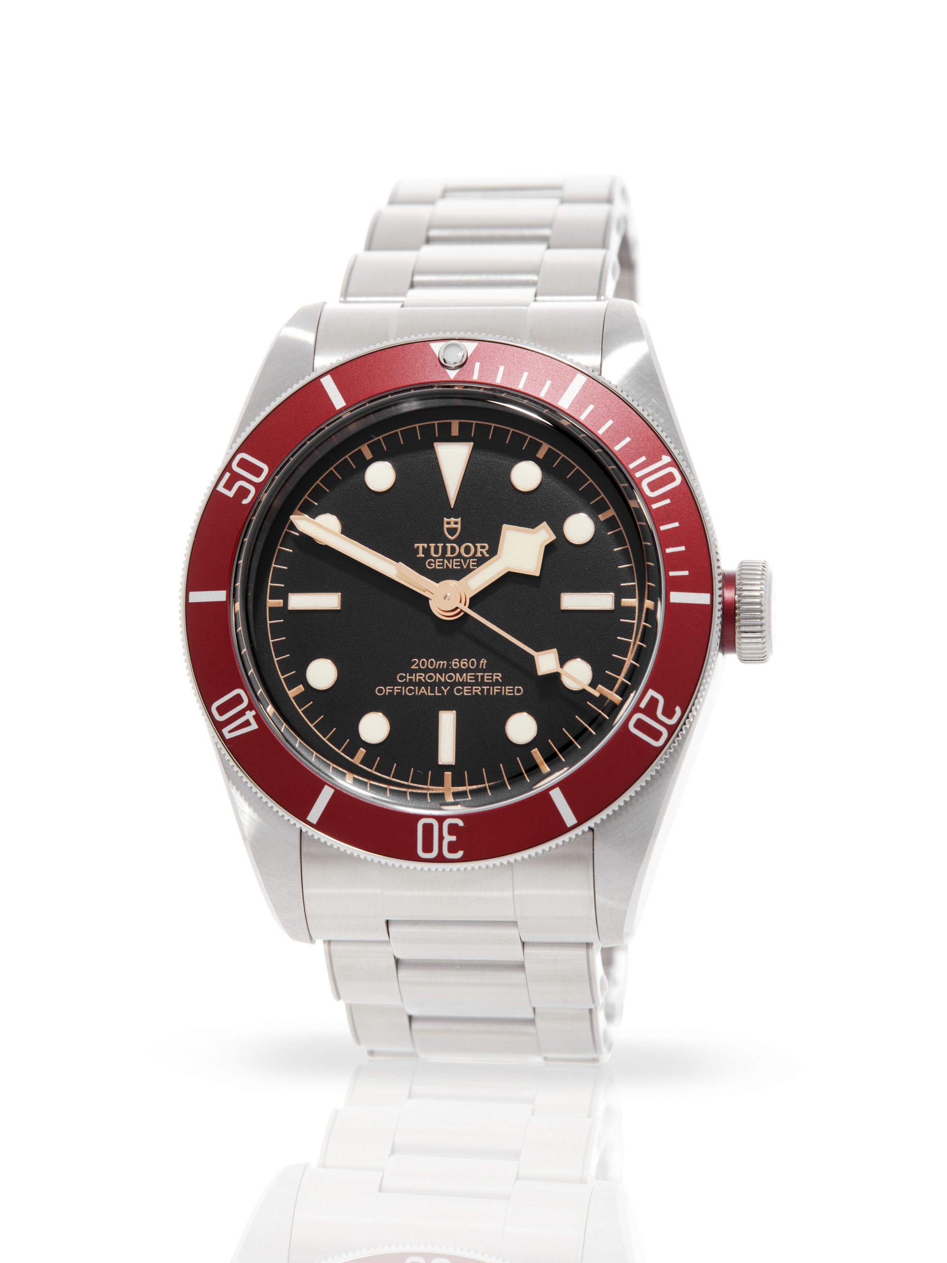 Tudor Black Bay