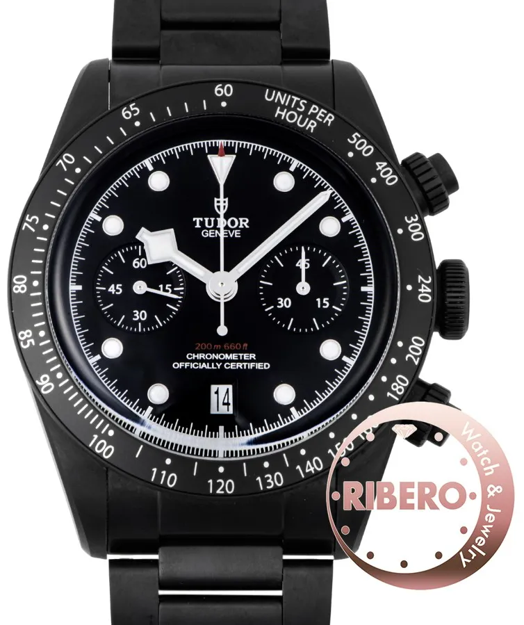 Tudor Black Bay