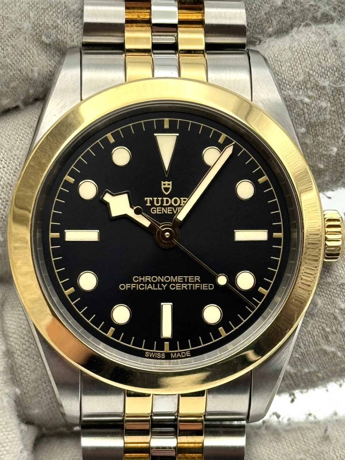 Tudor Black Bay