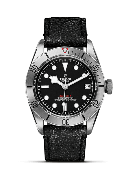 Tudor Black Bay Steel