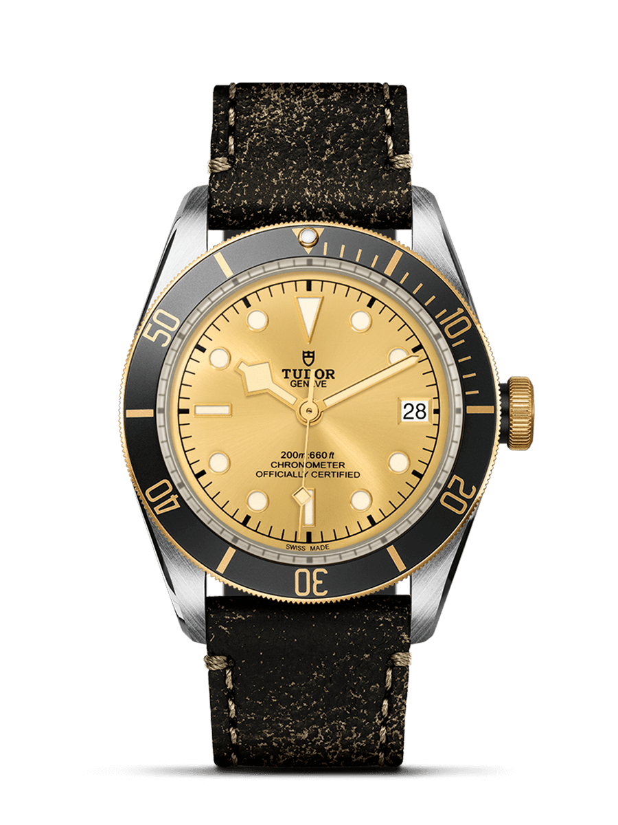Tudor Black Bay S&G