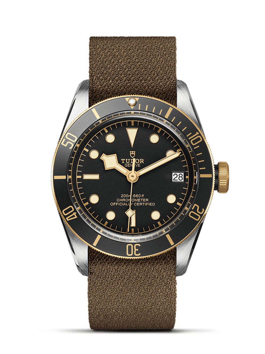 Tudor Black Bay S&G
