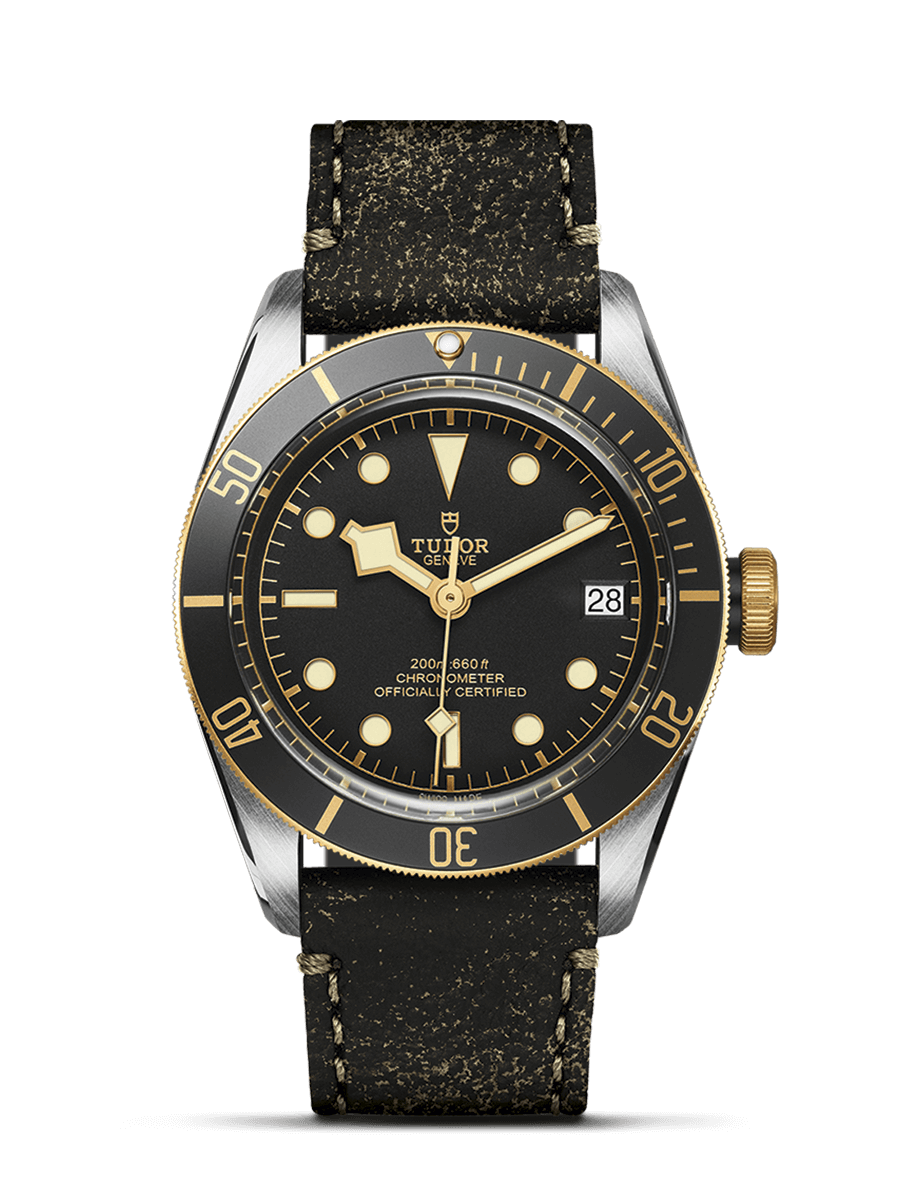 Tudor Black Bay S&G