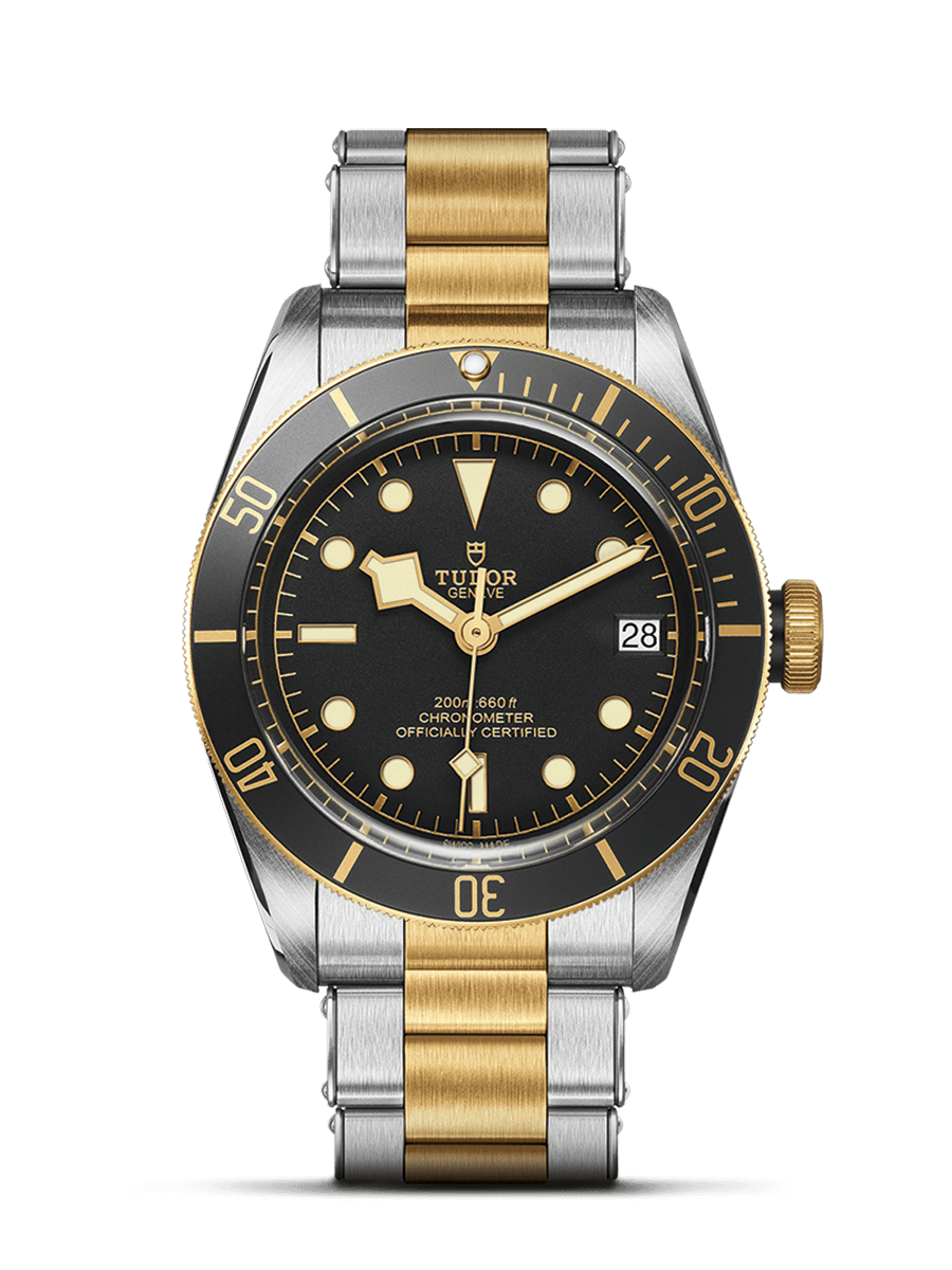 Tudor Black Bay S&G