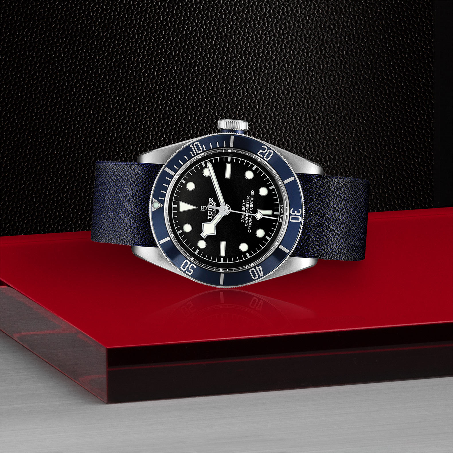Tudor Black Bay