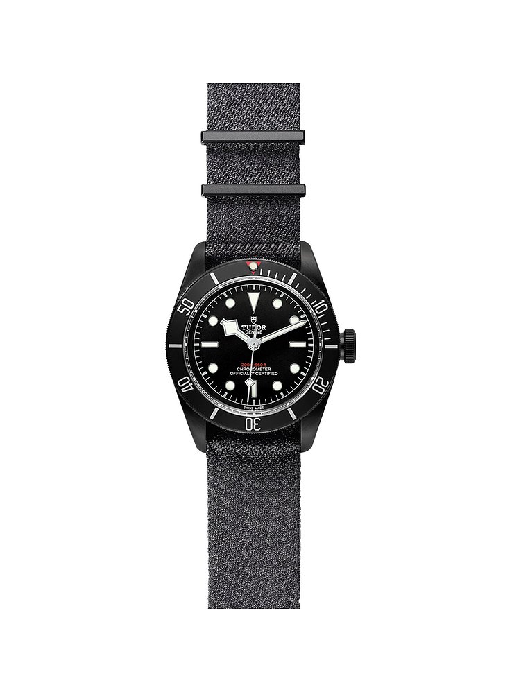 Tudor Black Bay Dark