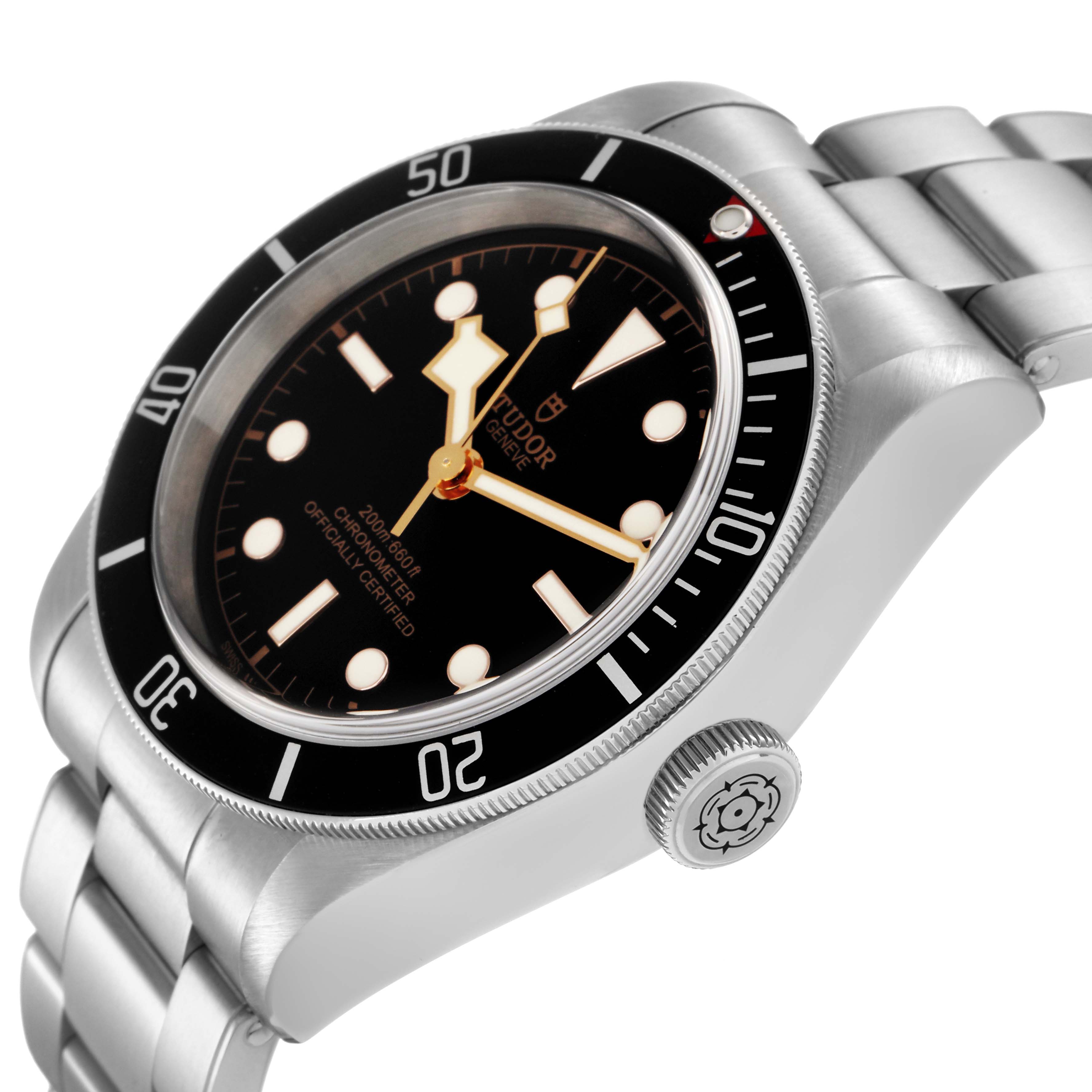 Tudor Black Bay