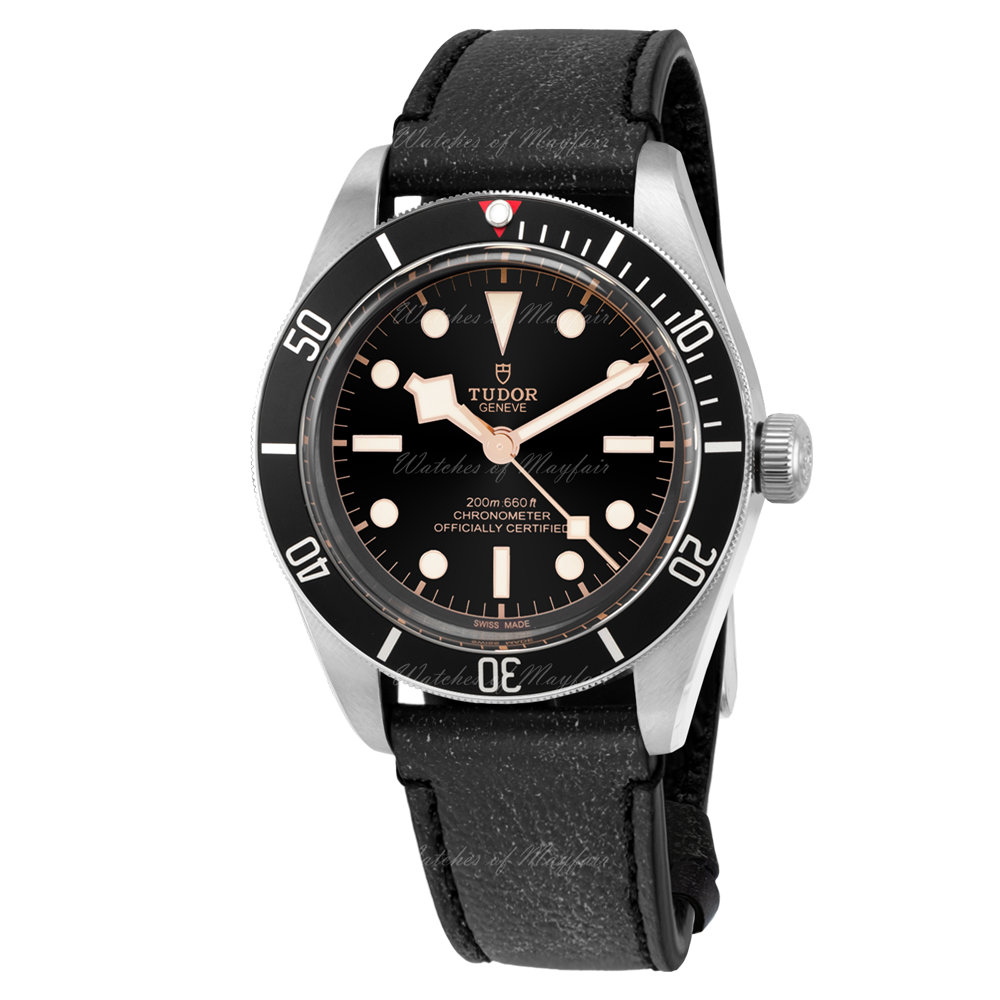 Tudor Black Bay