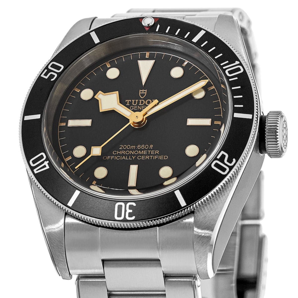 Tudor Black Bay