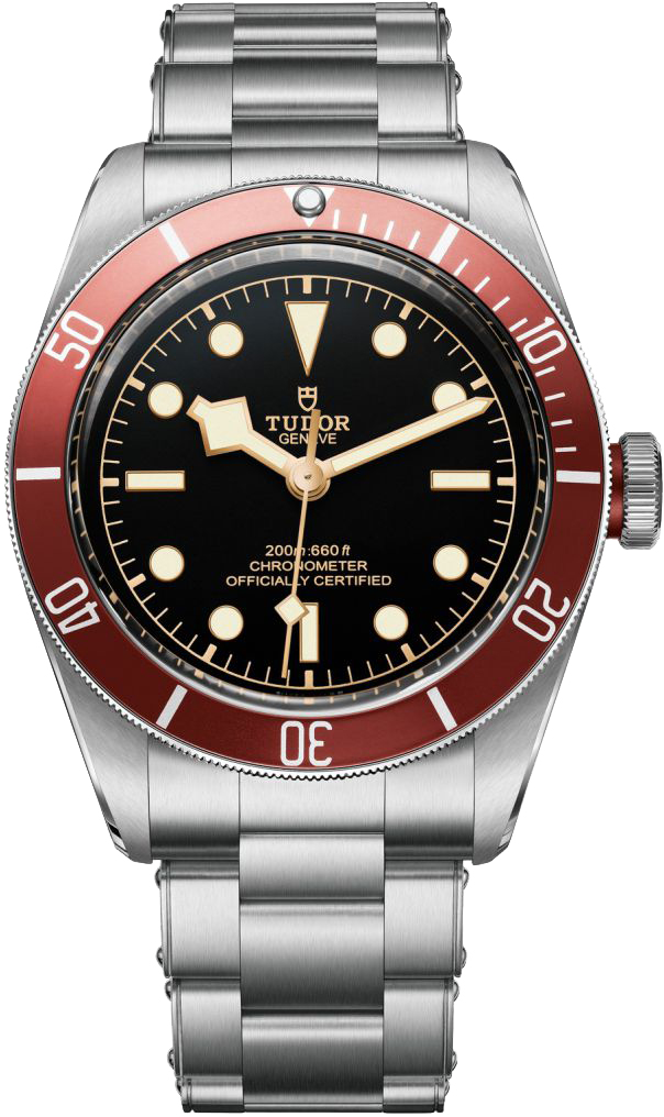 Tudor Black Bay