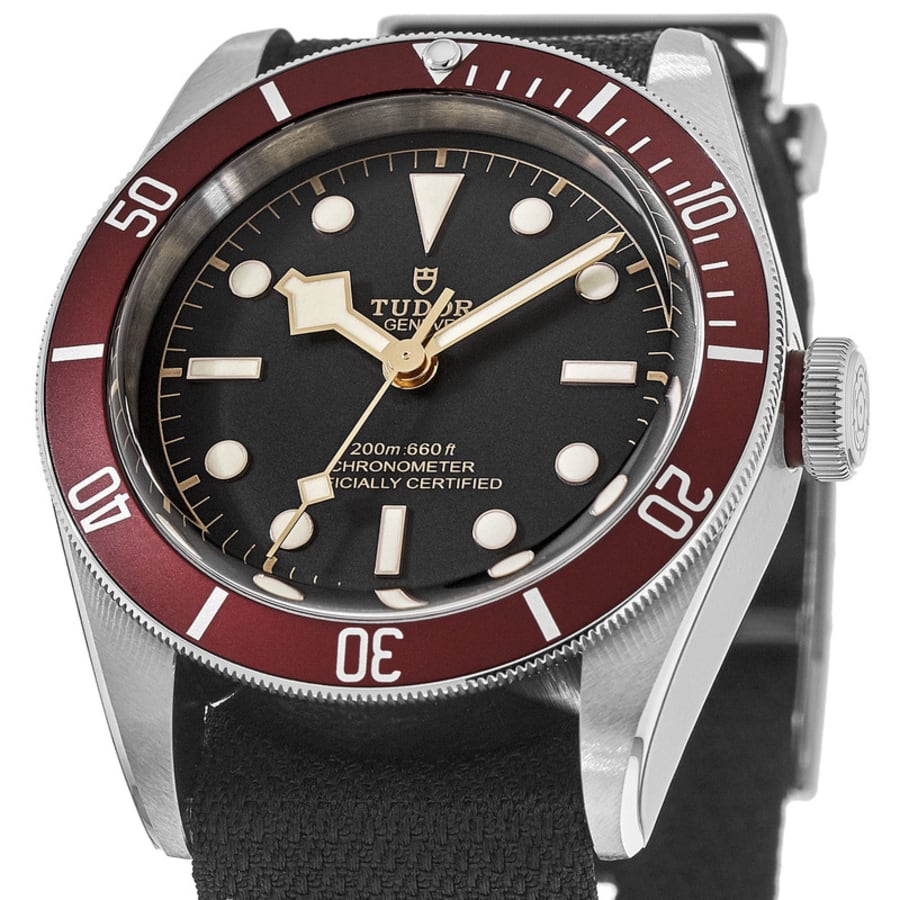 Tudor Black Bay