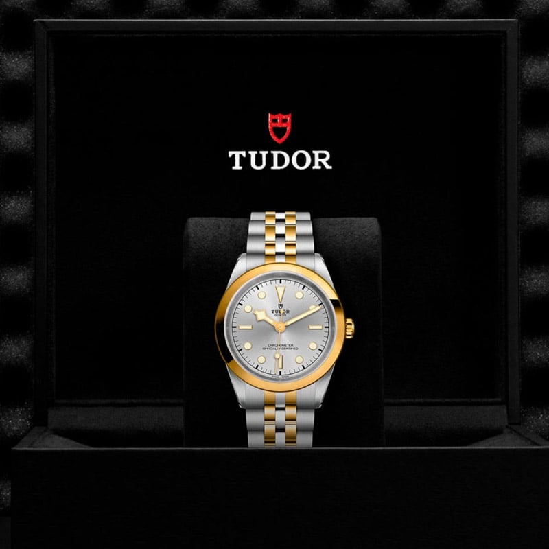 Tudor Black Bay S&G