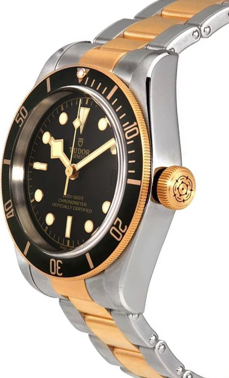 Tudor Black Bay S&G