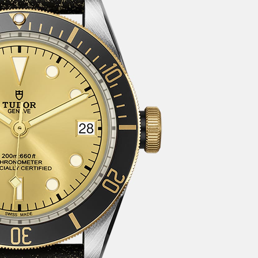 Tudor Black Bay S&G