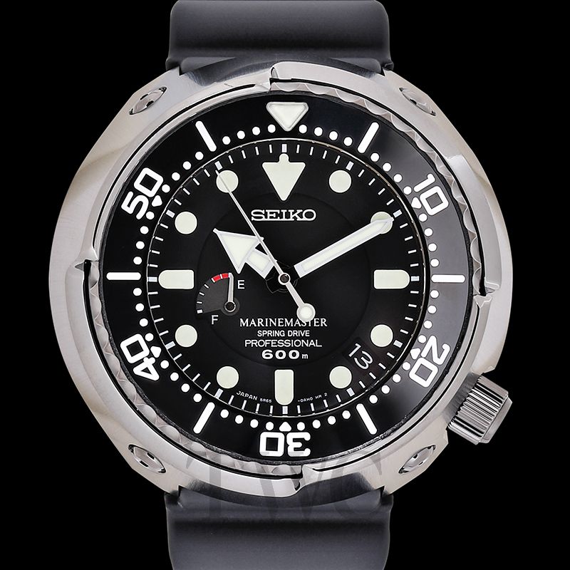 Seiko Marinemaster